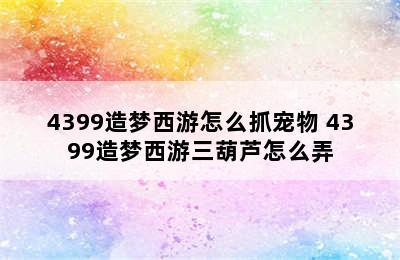 4399造梦西游怎么抓宠物 4399造梦西游三葫芦怎么弄